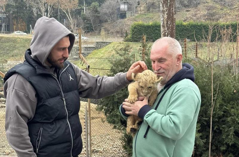 "ბოკვერი უკვე ჩვენს ზოოპარკშია" - რას წერს ლაშა ბექაური