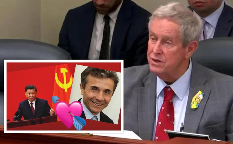 "ბიძინა, მზად ხარ სანქციებისთვის?" - ჯო უილსონის მწვავე კრიტიკა და ივანიშვილისა და სი ძინპინის მიმი: რას წერს ჰელსინკის კომისიის თავმჯდომარე