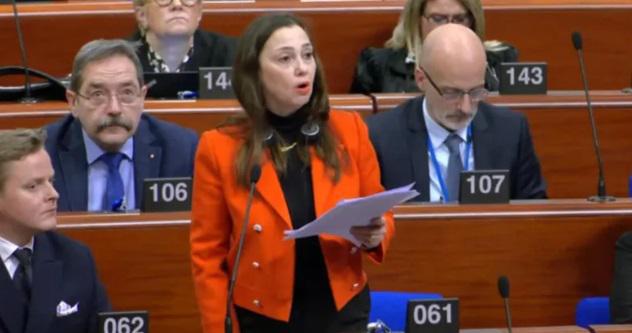 შეუჩერდება თუ არა ევროსაბჭოს საპარლამენტო ასამბლეაში საქართველოს დელეგაციას უფლებამოსილება?  - დასკვნა 24 საათში გახდება ცნობილი