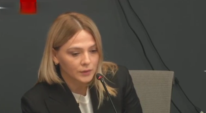 "ვისურვებდი წარმოდგენილი იყოს ფაქტები, ჩემს საკადრო ტექსტებში სად გავატარე სახელისუფლებო იდეოლოგია?... მე არასდროს მომრიდებია განსხვავებული პოზიციის გამოთქვა ნიუსრუმში" - სანიკიძე