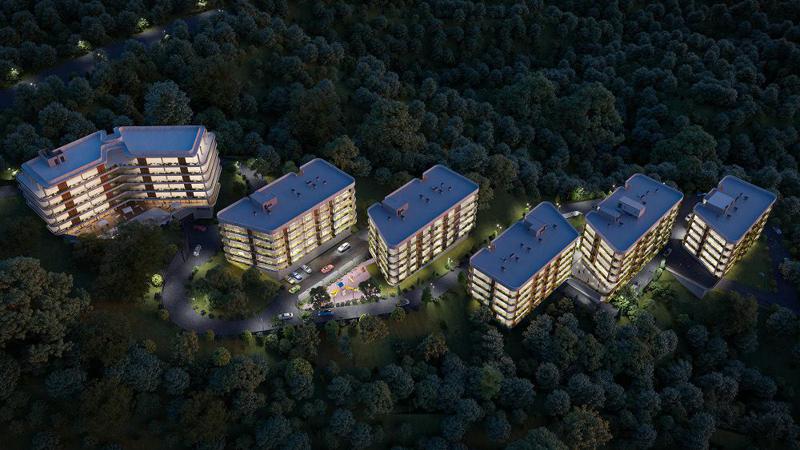 თანამედროვე საცხოვრებელი ბუნებასთან ახლოს  — "ლისი სანრაიზი" "არქისაგან"