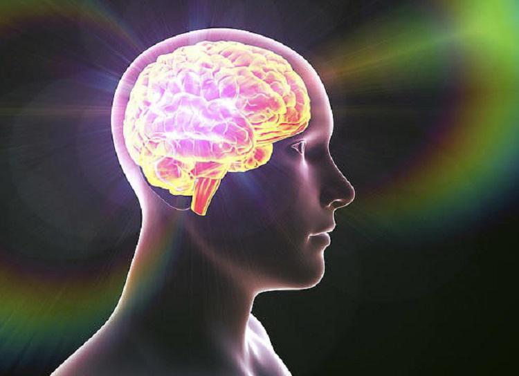 მეცნიერი ამტკიცებს, რომ ადამიანის ცნობიერება სხვა განზომილებიდან მოდის