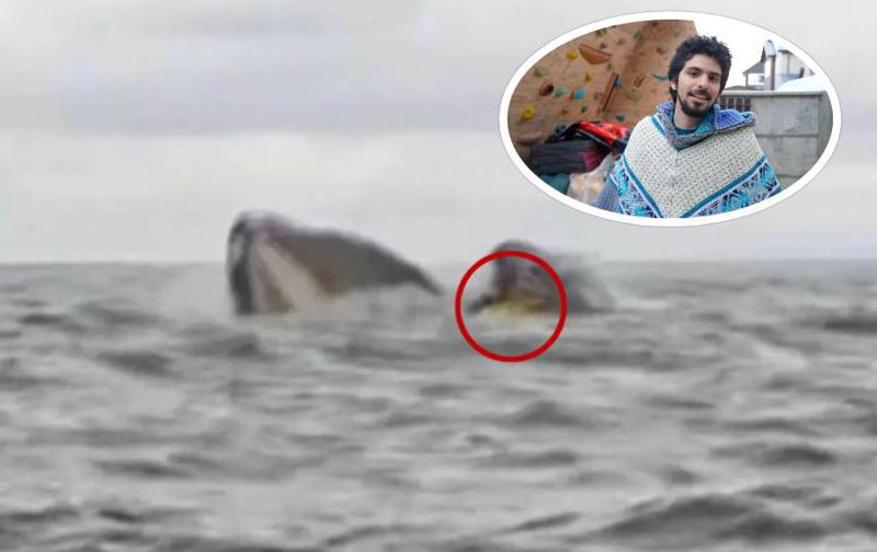 ვეშაპმა ახალგაზრდა ბიჭი გადაყლაპა, მაგრამ რამდენიმე წამში უკან გაუშვა  - უმძიმესი კადრები ბიჭის მამამ გადაიღო: რა მოხდა მაგელანის სრუტეში