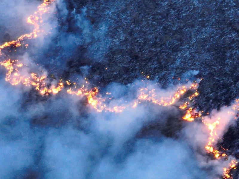 "ამ წუთებში  ხანძარი მიიწევს ოკუპირებული სოფლის, მსხლების მიმართულებით" - რა ინფორმაციას ავრცელებს დავით ქაცარავა