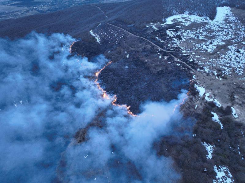 რას აცხადებენ სახელმწიფო უსაფრთხოების სამსახურში ოკუპირებულ ახალგორში გაჩენილ ტყის ხანძარზე?