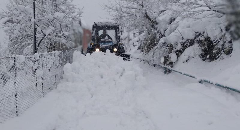 ფოტოები აჭარიდან, სადაც დიდთოვლობამ პრობლემები შექმნა - "ნალექის გამო სკოლებში მოსწავლეთა დასწრების დაბალი მაჩვენებელი დაფიქსირდა"