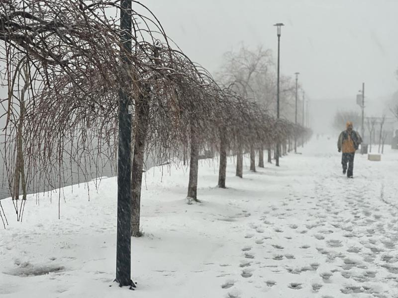 უამინდობა მთელ ქვეყანაში: თოვლი, ქარბუქი და ყინვა - როგორია უახლოესი დღეების პროგნოზი