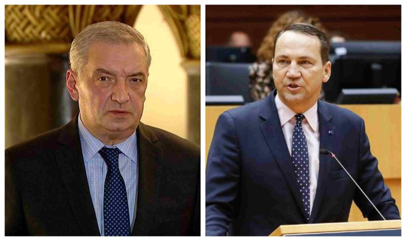 "ეს უსინდისო განცხადებაა - ევროპული სტანდარტის დამკვიდრებაში პოლონეთს ბევრი მიმართულებით ვჯობივართ" -  ვოლსკი სიკორსკის პასუხობს