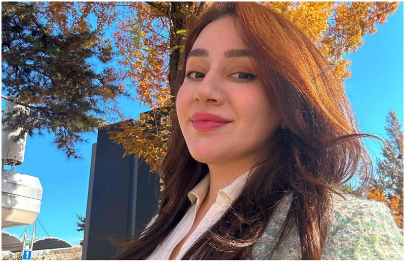 "დედა და მამა დაშორებულები არ ყოფილან, მაგრამ სხვადასხვა ქვეყანაში იყვნენ. მამა რომ ჩავიდა ამერიკაში, იქ გარდაიცვალა"- ცნობილი ბლოგერი, სოფია კვინიკაძე, მამაზე პირველად საუბრობს