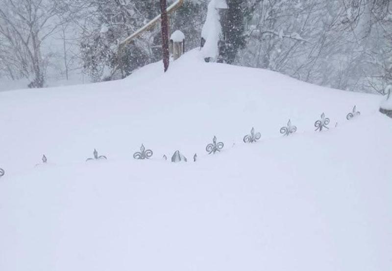 "აქ ცხოვრობს 89 წლის ქალბატონი, ამ უბანში არიან ჩვილბავშვიანი ოჯახები, იქმნება პრობლემები საკვებზეც, კერძოდ პურზე" - რას წერენ ოზურგეთის სოფელ ზედუბანზე და რას აცხადებენ მუნიციპალიტეტის მერიაში