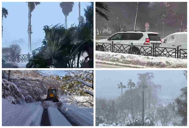 ქარიშხალი და დიდთოვლობა აჭარაში: "ვერ გადაადგილდება ტრანსპორტი, საბავშვო ბაღებმა მუშაობა გააჩერეს" - კადრები სტიქიის ადგილიდან