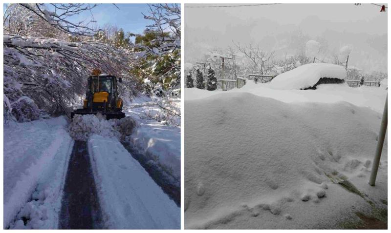 "რამდენიმე ადგილიდან მოსახლეობის გაყვანა გახდა საჭირო" - უამინდობა მთელი ქვეყნის მასშტაბით: სად რა პრობლემები შექმნა ქარიშხალმა და დიდთოვლობამ