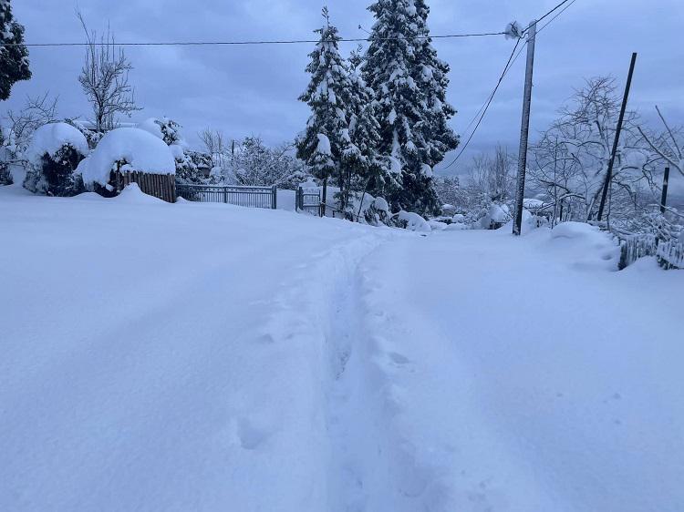 “საქართველოს სხვადასხვა რეგიონიდან ჩასული ელექტრიკოსები გურიასა და აჭარაში საგანგებო რეჟიმში მუშაობენ“ - “ენერგო პრო ჯორჯია“