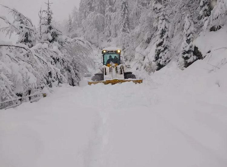 “მაღალი ზონის სოფლებში თოვლის საფარი 2 მეტრს აღწევს“ - რა ვითარებაა ხულოს, შუახევის და ქედის მუნიციპალიტეტებში