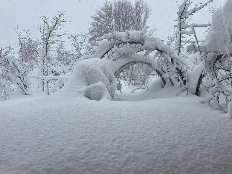 "რისკი მოიმატებს“ - სად შეიძლება თოვლის დნობამ მეწყერი გაააქტიუროს