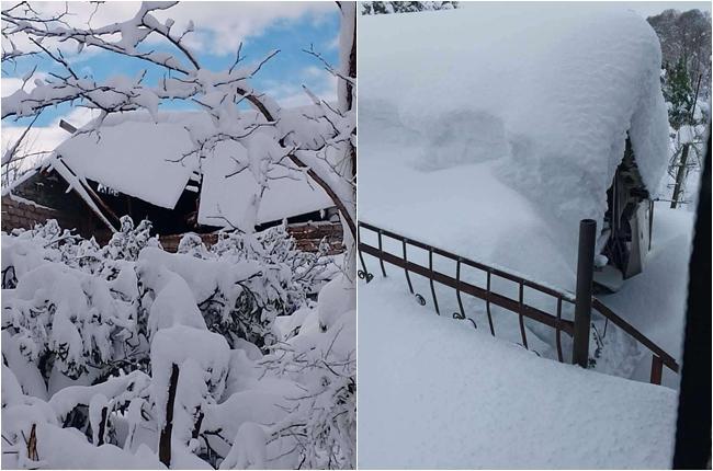 "არც შუქია, არც წყალი, არც გზა...  გარეთ ვერ გადის ხალხი, ფანჯრებამდე თოვლში ვართ"  - რა ხდება გურიაში და როგორ ცდილობენ მოქალაქეები თვითორგანიზებით სტიქიის ზონაში მყოფთა დახმარებას?