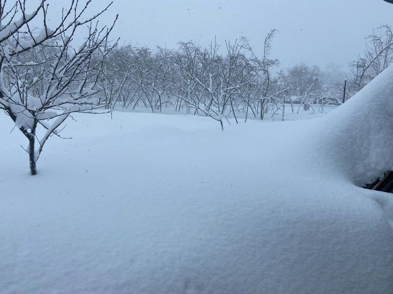"ოზურგეთის  სოფელ კონჭკათში მამაკაცი სახლის სახურავის გადათოვლისას დაიღუპა" - გურია TV