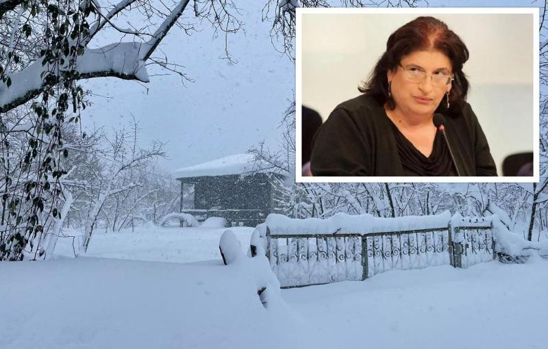 "არსებობს ზვავის საშიშროება, რომელმაც შესაძლოა, სოფლები წალეკოს... ევაკუაცია დაწყებული უნდა იყოს, წინააღმდეგ შემთხვევაში მსხვერპლი გვექნება" - ნინო ჩხობაძე