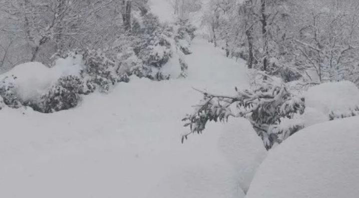 სოფელ შრომაში ახალგაზრდა მამაკაცი საცხოვრებელი სახლის სახურავის თოვლისგან გაწმენდის დროს დაშავდა