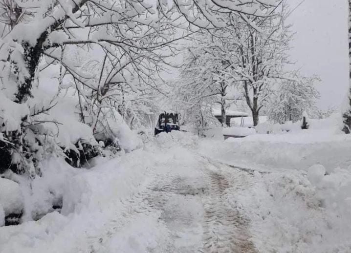 ქობულეთის მუნიციპალიტეტის სოფელ ხუცუბანში 50 წლამდე მამაკაცი თოვლში გარდაცვლილი იპოვეს - რა დეტალები ხდება ცნობილი