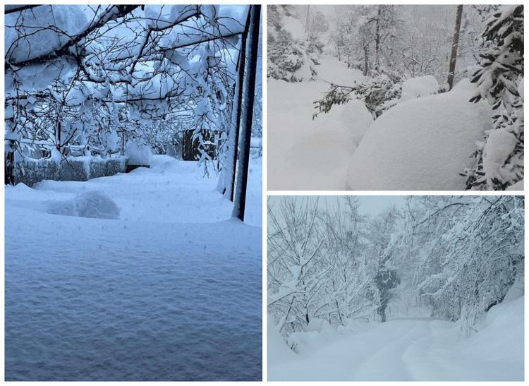 “გარე სამყაროს ვართ მოწყვეტილი! არიან ადამიანები, რომელთაც სჭირდება საკვები, მედიკამენტები“ - სტიქია გურიაში: ოზურგეთში და ლანჩხუთში მოსახლეობა დახმარებას ითხოვს; რა ვითარებაა რეგიონში