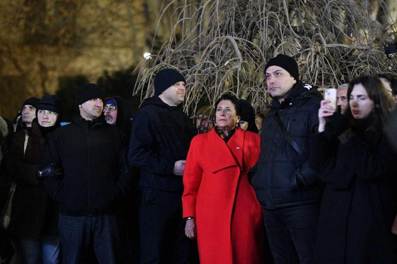 “ვიდექი იქ სადაც ყველა დედა უნდა მდგარიყო“ - სალომე ზურაბიშვილი აცხადებს, რომ 5000 ლარით დააჯარიმეს