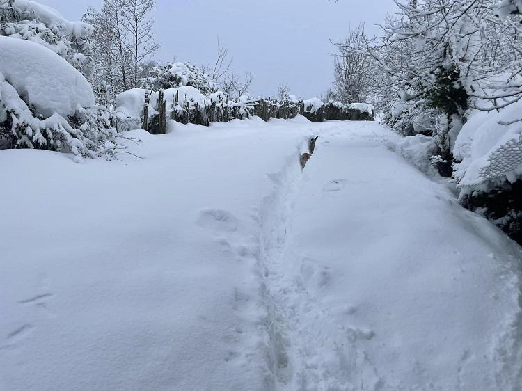 “ჩარჩენილი არიან ბავშვები და მოხუცები - რამდენიმე მარტოხელა ადამიანი, საერთოდ კონტაქტზე არ გამოდის“ - რა მდგომარეობაა ლანჩხუთსა და ჩოხატაურში
