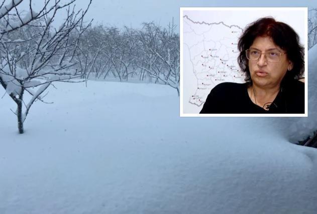 "უნდა დავიწყოთ მზადება წყალდიდობების და მეწყრებისთვის რეგიონებში, სადაც უხვი თოვლია" - რა რისკებზე საუბრობს ნინო ჩხობაძე