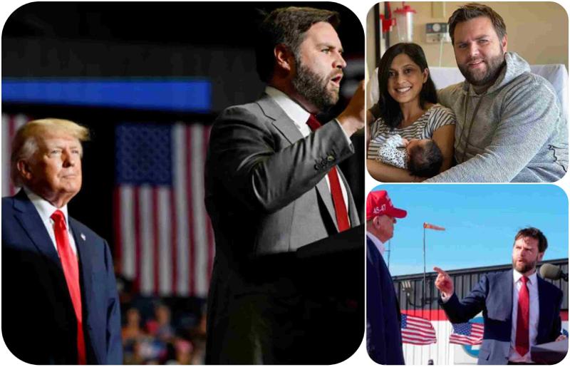 პოლიტიკოსი, რომელიც ტრამპს "საძაგელს" უწოდებდა და ჰიტლერს ადარებდა, ახლა კი აშშ-ის ვიცე-პრეზიდენტია - რა არის ცნობილი "ტრამპის მომთვინიერებელზე"