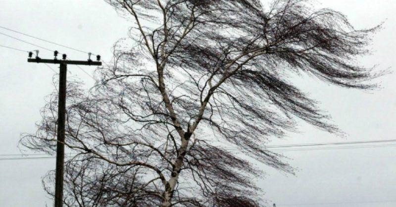 როდემდე შენარჩუნდება ძლიერი ქარი და ცივი ამინდი - "კვირის ბოლოს ტემპერატურა +20 გრადუსს მიაღწევს"