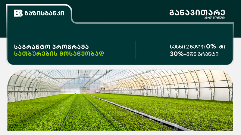 ბაზისბანკი | საგრანტო პროგრამა სათბურების მოსაწყობად