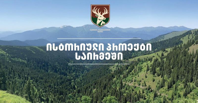 მალე საირმის ტყეს კეთილშობილი კავკასიური ირემი დაუბრუნდება - "საირმეს რეკრეაციული ფერმის“ სამუშაოები უკვე დაწყებულია