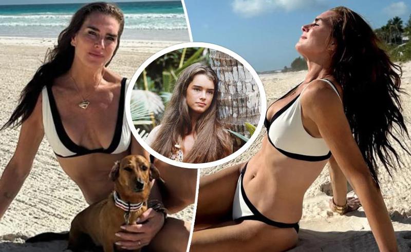 "სილამაზე, რომელმაც დროს გაუძლო... ის სუპერმოდელივით გამოიყურება" - 59 წლის ბრუკ შილდსი საცურაო კოსტიუმში გადაღებულ ფოტოებს აქვეყნებს