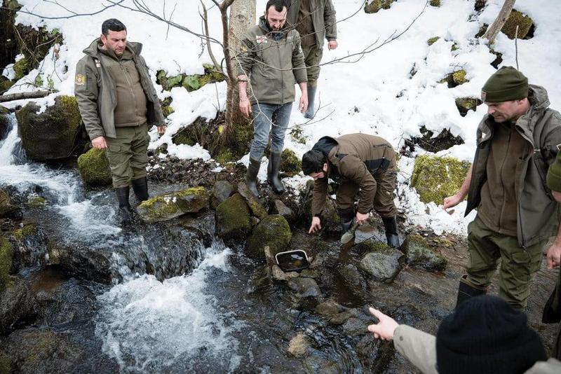 საირმეში, მდინარე წაბლარასწყალში წითელწინწკლებიანი კალმახის ქვირითი ჩაეშვა