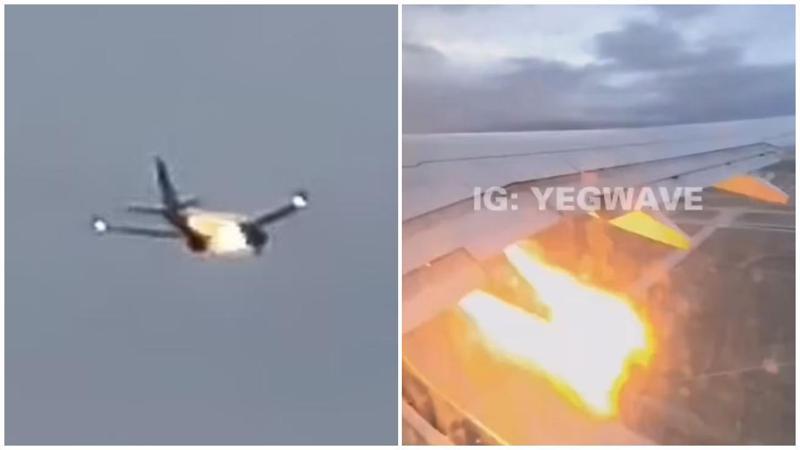 მორიგი ავია ინციდენტი აშშ-ში: თვითმფრინავი ავარიულად მას მერე დაჯდა, რაც ერთ-ერთ ძრავს ცეცხლი გაუჩნდა - ამის მიზეზი კურდღელი გახდა