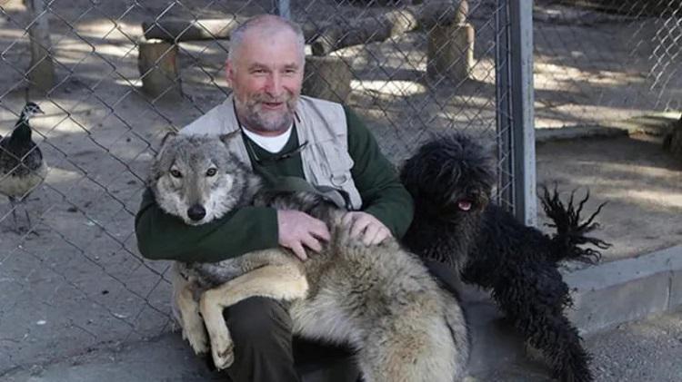 "ლომის ბოკვერი ჯერჯერობით ისევ ჩემს კაბინეტშია და თავს კარგად გრძნობს" - ჩვენი მკითხველის  კითხვებს ზოოპარკის დირექტორი ზურაბ გურიელიძე პასუხობს