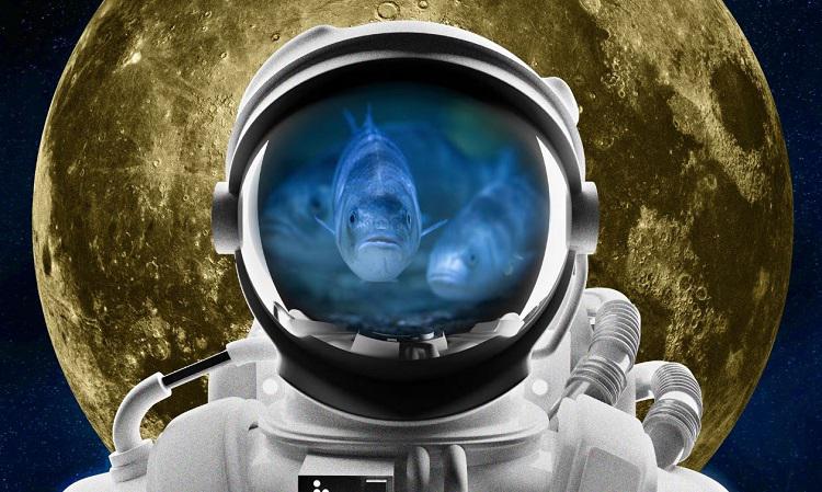 ზღვის ქორჭილა კოსმოსში - მალე მთვარეზე შესაძლოა  თევზის ფერმები გაჩნდეს