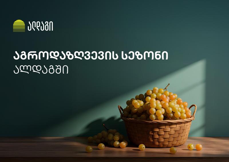 აგრო დაზღვევა ალდაგში ყველაზე სწრაფი ანაზღაურებით