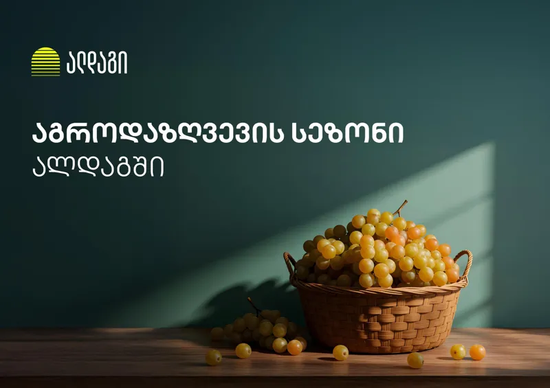 აგრო დაზღვევა ალდაგში ყველაზე სწრაფი ანაზღაურებით