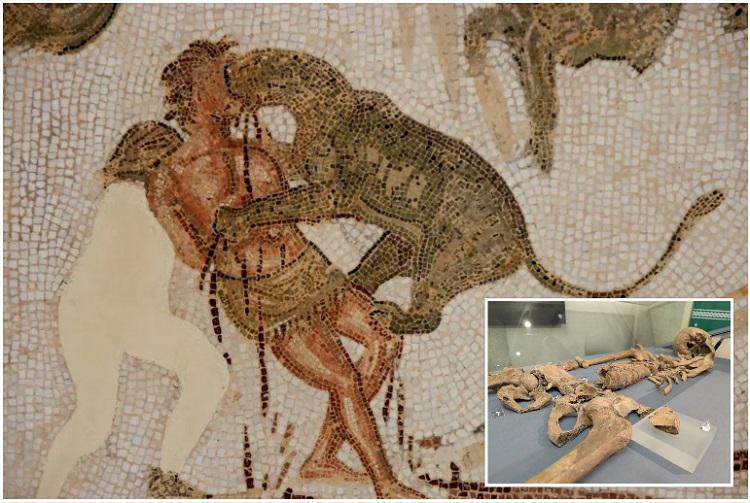 არქეოლოგებმა პოპულარულ ტურისტულ ადგილას გლადიატორებისა და ლომების სასტიკი ბრძოლის კვალი აღმოაჩინეს - რა იპოვეს მებრძოლის ჩონჩხის შესწავლისას