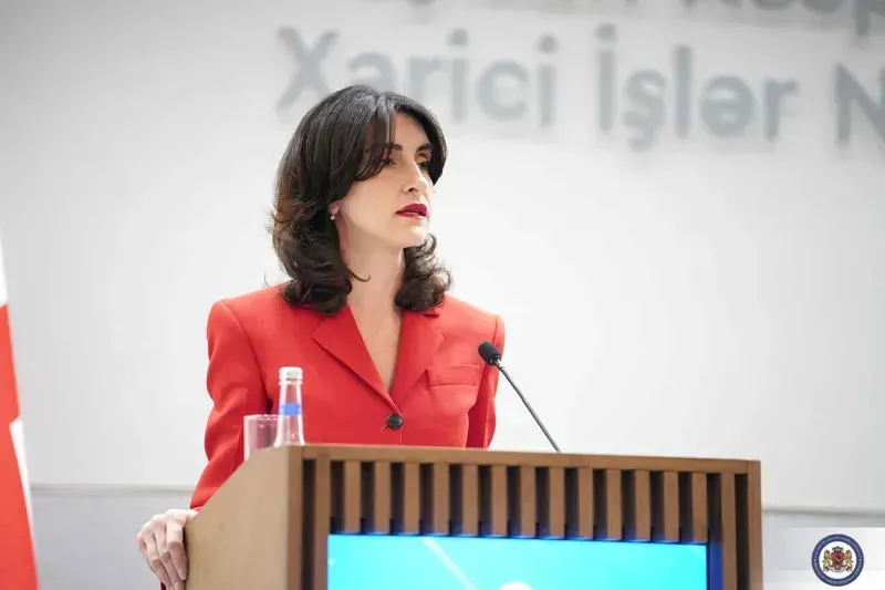 "ევროკავშირის ელჩის განცხადებიდან ვხედავთ, რომ არ იშურებენ ძალისხმევას, რათა ევროკავშირში ინტეგრაცია საქართველოს წინააღმდეგ იყოს გამოყენებული" - ბოჭორიშვილი
