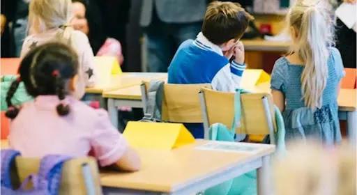 პირველკლასელთა საყოველთაო რეგისტრაცია ხვალ, 09:00 საათიდან დაიწყება - რა უნდა იცოდნენ მშობლებმა