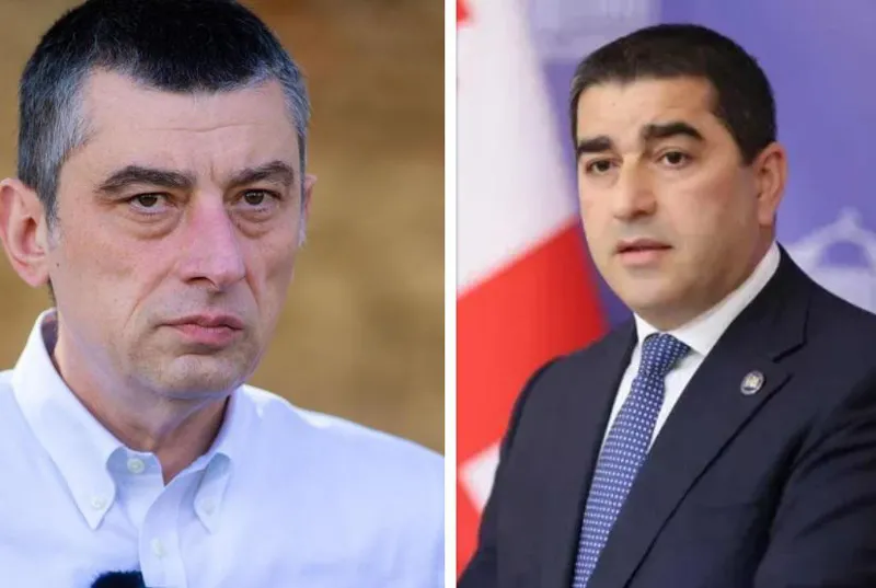 "12 დეპუტატი გახარიას პარტიიდან, გახარიას ჩათვლით "შატალოზე" იყო ერთი სესია, მათ მანდატები შეუწყდებათ" - შალვა პაპუაშვილი