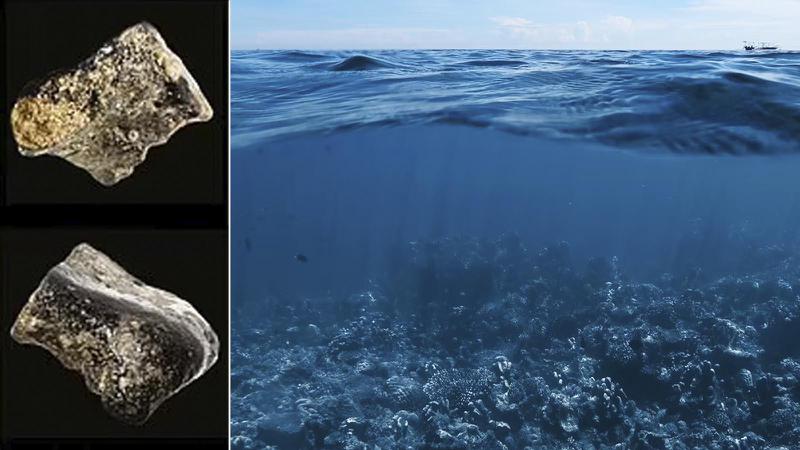 ოკეანის ფსკერზე 140 000 წლის წინ აშენებული დაფარული ქალაქი აღმოაჩინეს - რას ამბობენ ექსპერტები