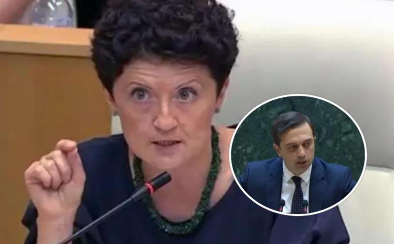 "კი არ გთხოვთ, შეგვაქოთ ან აძაგოთ ვინმე ვინც გარეთაა, გთხოვთ, იყოთ ობიექტური" - თეა წულუკიანი ლევან იოსელიანს