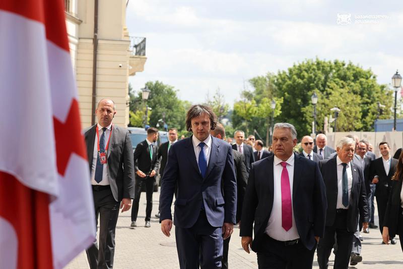 “საქართველოს მთავრობა არის მხეცი, რომელთან ბრძოლაც ეშინია ევროკავშირს, ბრიუსელს“ - ვიქტორ ორბანი კობახიძეს