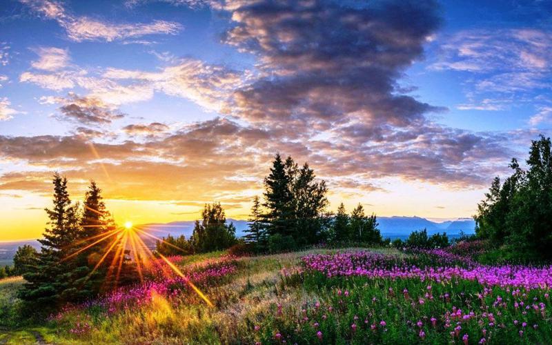 მთვარის მეცხრამეტე დღე: ნუ აჰყვებით პროვოკაციებს