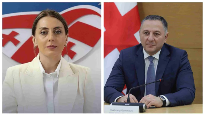 "ასე ხდება: ჯერ გაქვს ძალაუფლება, გემორჩილება რამდენიმე ათასი ადამიანი, შემდეგ რეჟიმი დაკითხვებზე გატარებს" - ხატია დეკანოიძე