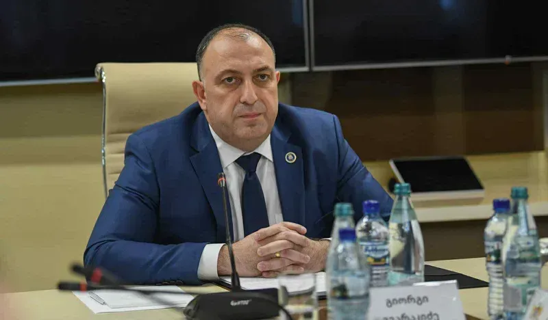 რას გეგმავს გიორგი გვარაკიძე გენერალურ პროკურორად არჩევის შემთხვევაში - მთავარი მიმართულებები, რის წინააღმდეგაც უწყება ბრძოლას აძლიერებს