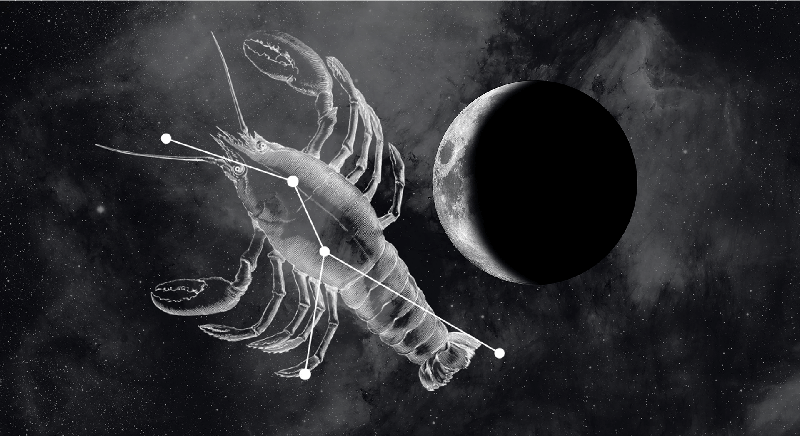 ახალმთვარეობა კირჩხიბში: მოძებნეთ ახალი გზები იდეების განსახორციელებლად